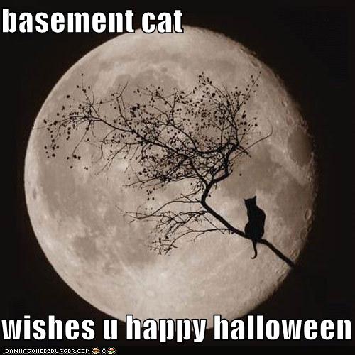 Basement Cat Wishes You A Happy Halloween